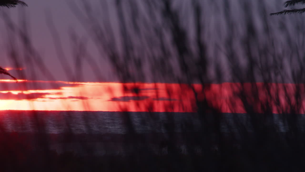 puesta de sol a través de la hierba