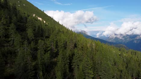 Dense-forest-grow-on-Dolomites-mountain-slope-on-sunny-day,-aerial-view