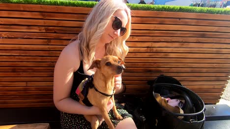 beautiful young blonde girl pats a cute dog wearing a backpack in daytime