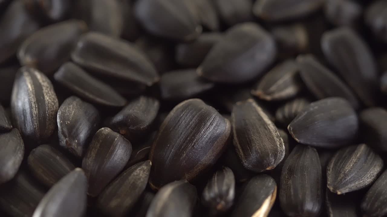 태양꽃 씨을 가까이에서 보십시오.