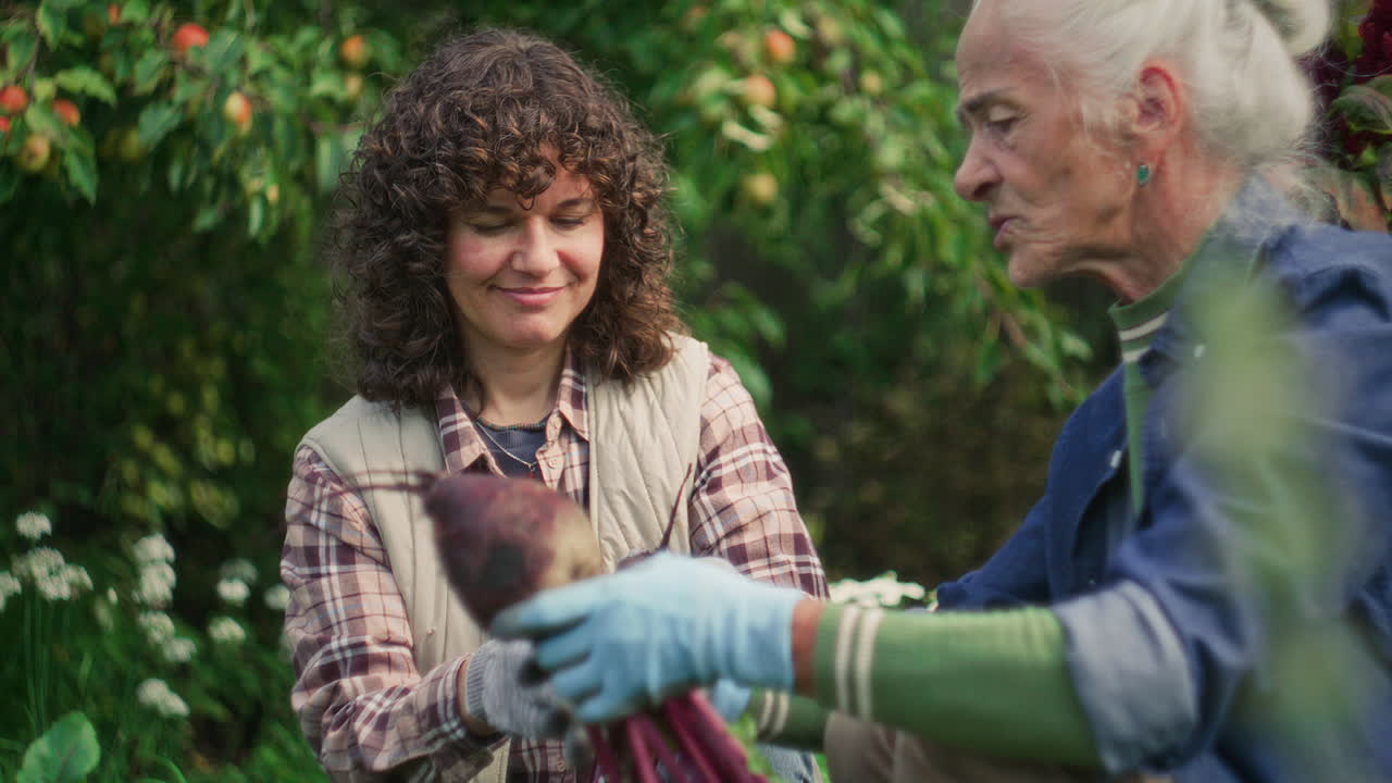 Young Woman and Grandmother Cleaning Freshly Harvested Beetroots in Garden