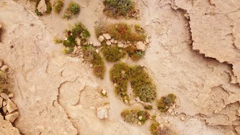 river bed in arco de taja rock formations, near santiago del teide in tenerife, spain