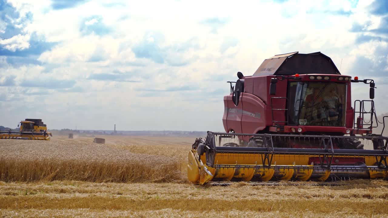 Harvesting machine working in field. Combine harvester agricultural machine collecting golden ripe wheat on the field