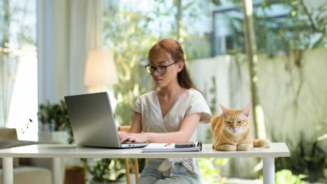 woman working on laptop with cat