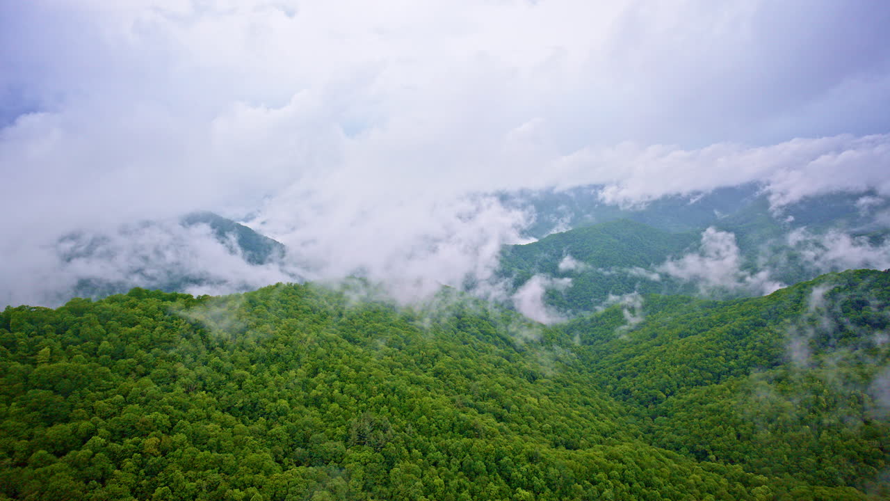 Layers of fog rise through the Smoky Mountains in cinematic style