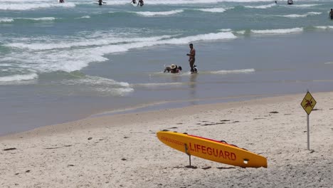 beachgoers enjoy the ocean under lifeguard watch