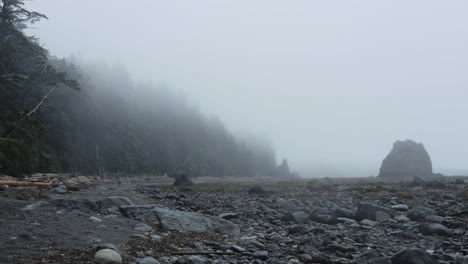 Lone-person-walks-on-dramatic-rocky-coast-covered-in-fog-with-birds-overhead
