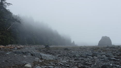 una persona solitaria camina por la dramática costa rocosa cubierta de niebla con pájaros por encima