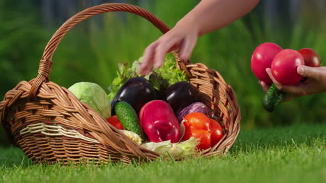 fresh vegetables from the garden in a basket