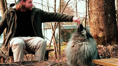 a man and his dog