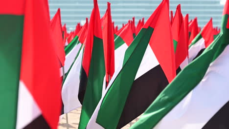 uae 국기는 uae의 두바이에서 uae 국기일을 축하하기 위해 플래그 가든에 전시되어 있습니다.