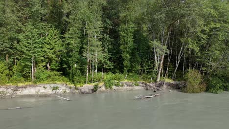 Vegetación-Ribereña-En-El-Valle-Del-Río-Squamish-En-Columbia-Británica,-Canadá