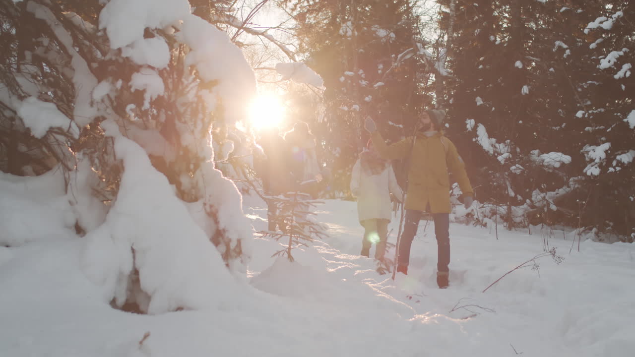 친구 들 이 눈 인 숲 에서 산책 하고 있다