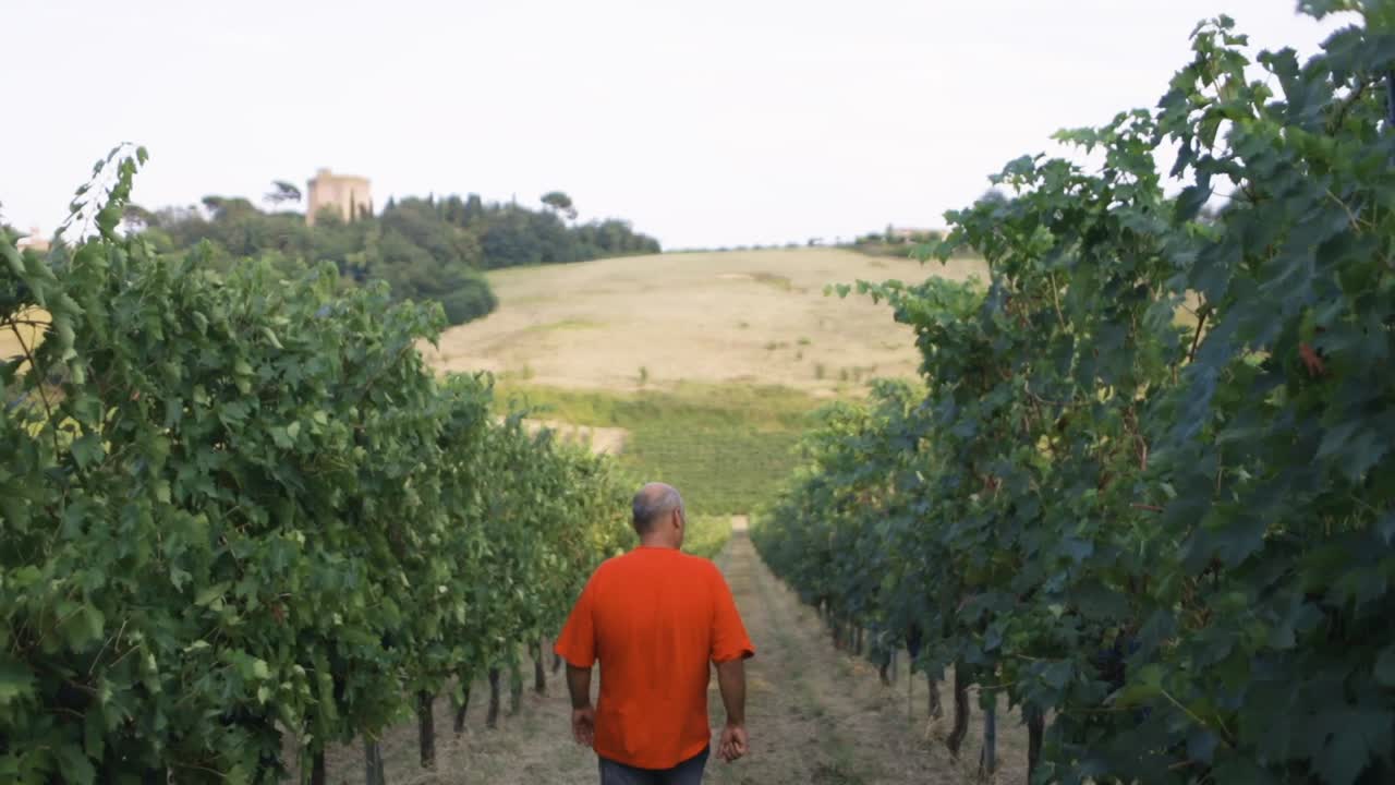 Contadino che cammina nel suo vigneto