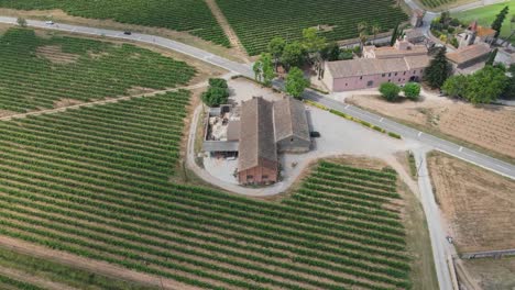 hermosa propiedad pintoresca en medio de campos de viñedos en penedes, españa