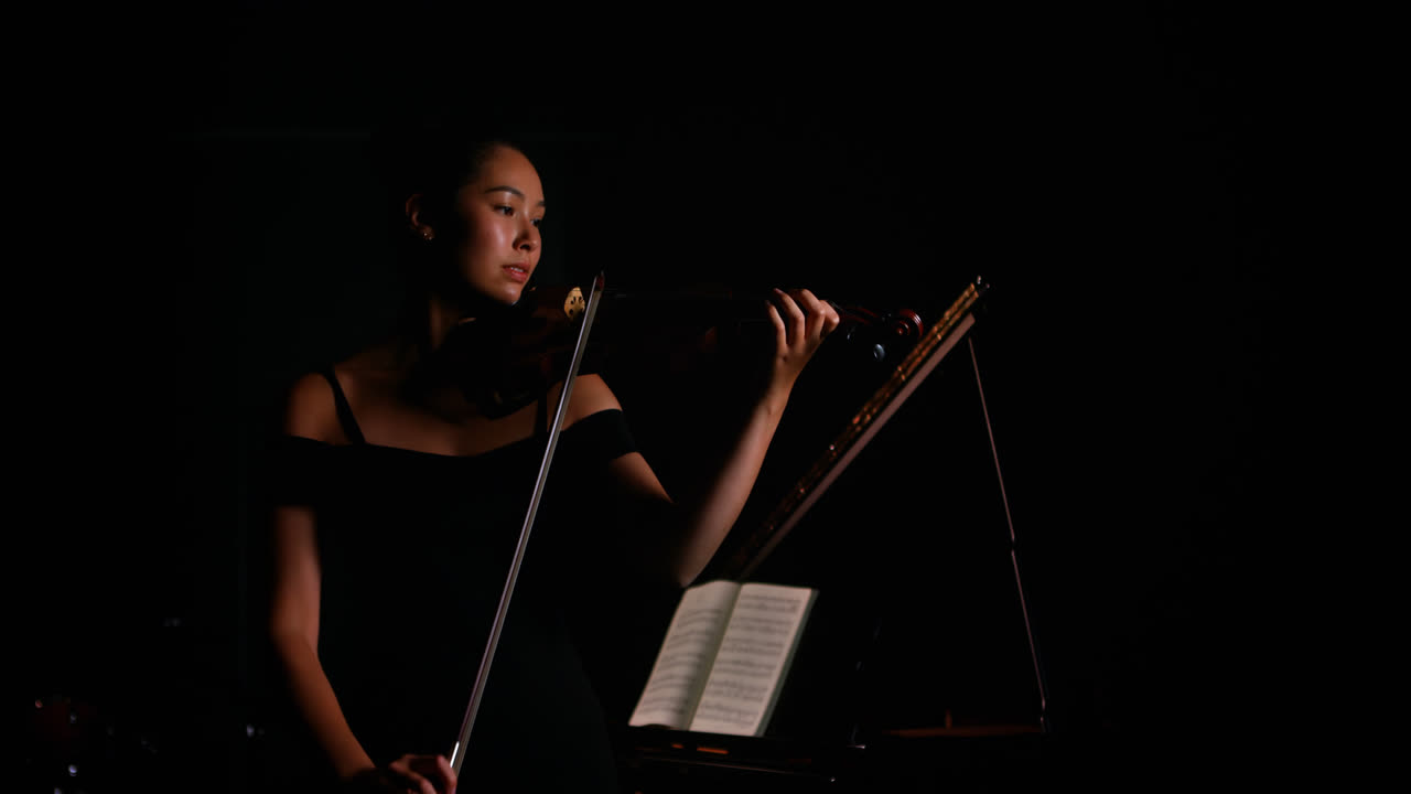 Woman playing a violin
