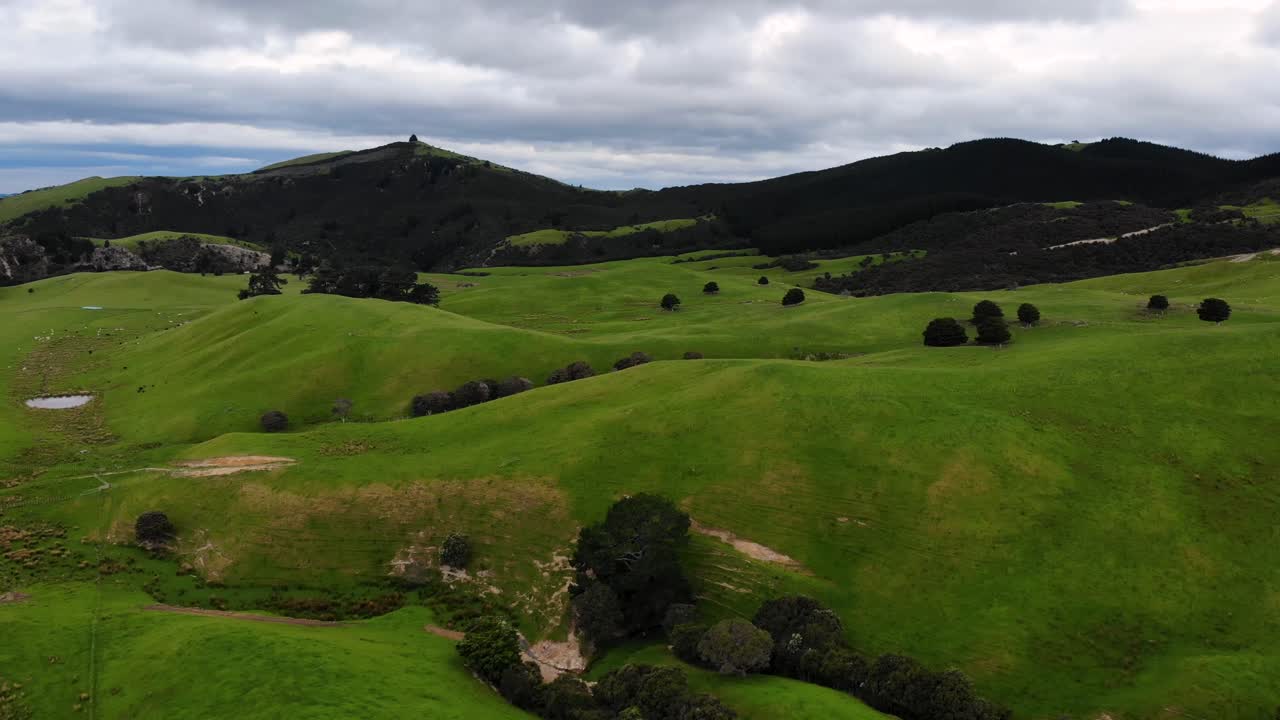 paisaje aéreo de tierras de cultivo verdes, región de manawatu-wanganui, área rural de nueva zelanda