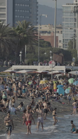 busy beach in sumer in vertical barcelona.