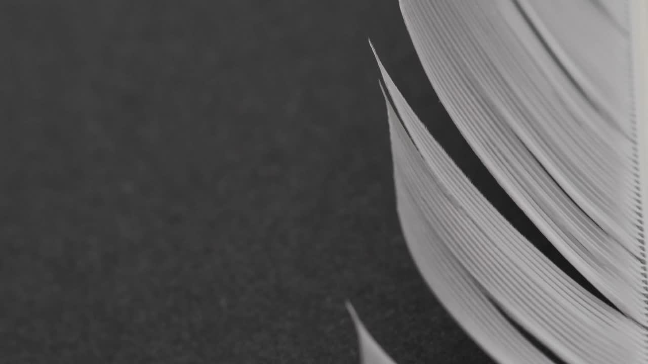 micro vídeo de primer plano de una pluma con espacio de copia sobre fondo negro