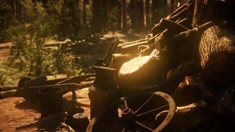 preparation of firewood for the winter in forest at sunset