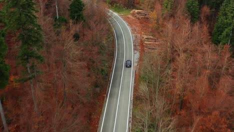 Toma-Aérea-Cenital-Siguiendo-A-Un-Automóvil-A-Través-De-Un-Bosque-Lleno-De-Colores-Otoñales