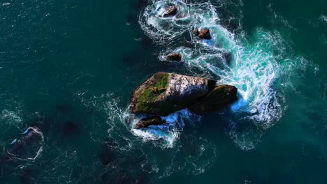 Sea-Lions-resting-on-San-Juan-Rock-outside-Dana-Point-Harbor-in-Southern-California