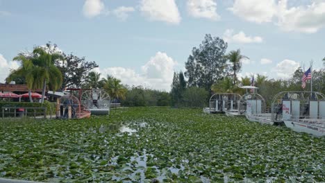 abajo 4k tiro de inclinación revelando grandes barcos aéreos turísticos atracados en los everglades cerca de miami florida con caimanes y cocodrilos escondiéndose bajo las almohadillas de lirios todo rodeado de palmeras en un cálido día soleado