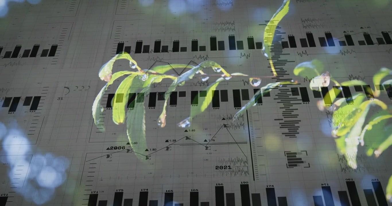 Ramo sottile e frondoso che mostra goccioline di rugiada, effetto bokeh pulsante, con grafici che appaiono gradualmente per mostrare dati ecologici.