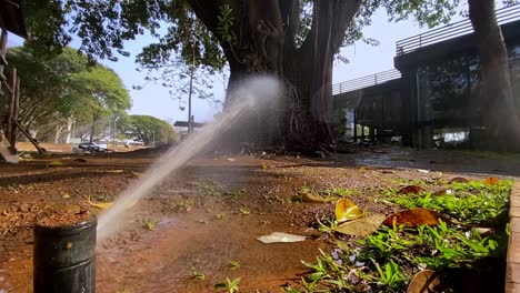 Regar-Un-Jardín-Urbano-En-Brasil-En-La-Temporada-De-Verano