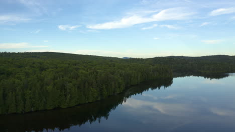 Aerial view of a mirror-like pond in the middle of the forest