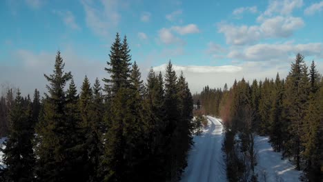 Camera-rises-to-reveal-mountain-over-the-trees-and-fog,-in-Trysil