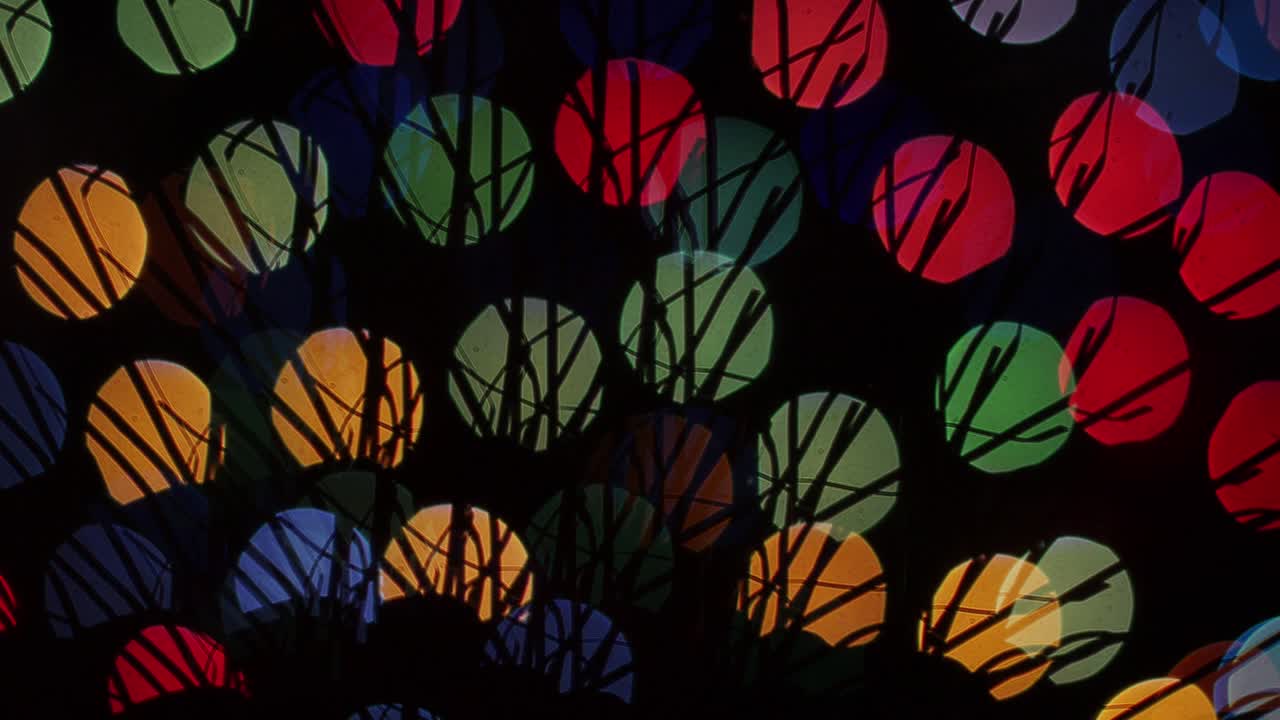 검은색 배경에 모양이 보이는 털이 많은 불빛