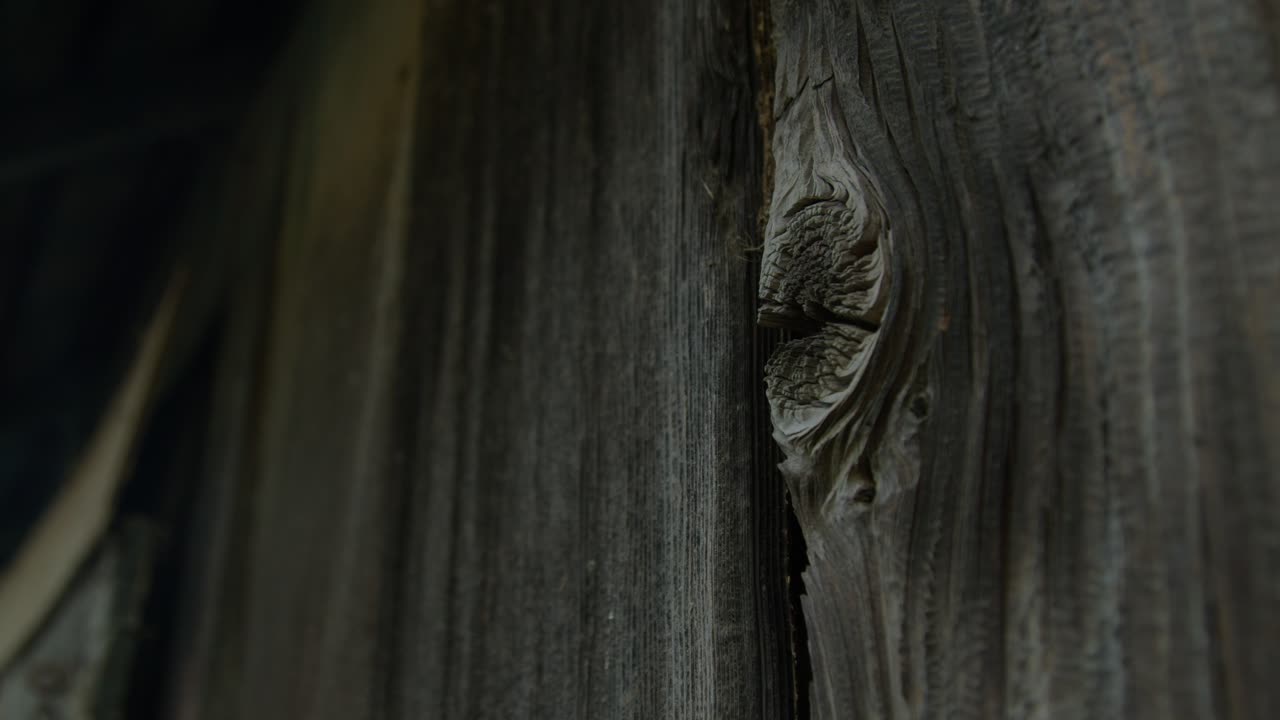 Detailed close-up shot of aged, weathered wooden boards showing deep grain patterns, natural cracks, and knots