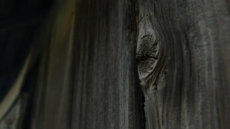 detailed close-up shot of aged, weathered wooden boards showing deep grain patterns, natural cracks, and knots