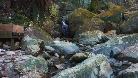 low quick push over mossy river rocks towards stream in japanese forest