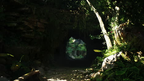 mysterious path in a jungle cave