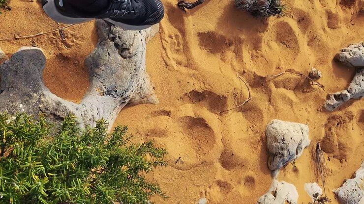 La spiaggia di Almograve con rocce di basalto nero sulla costa dell'Alentejo, Portogallo.