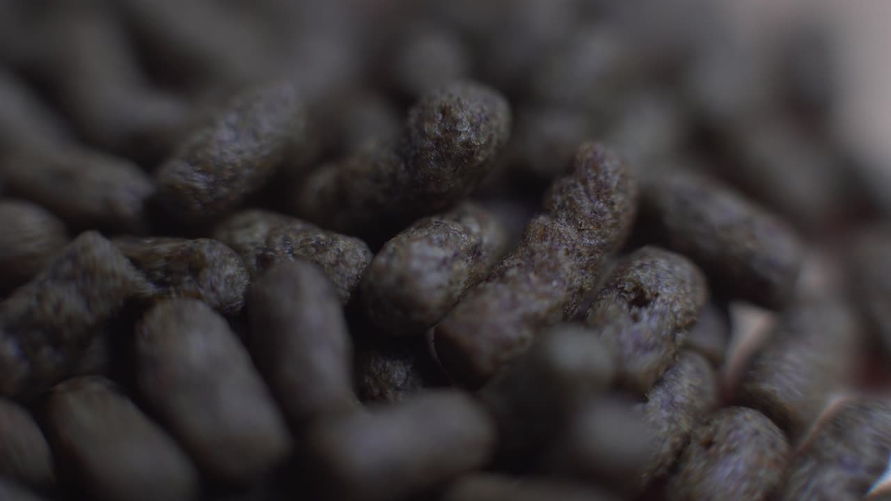 gránulos de comida macro comida de pescado barrido de luz corto dramático y cinematográfico