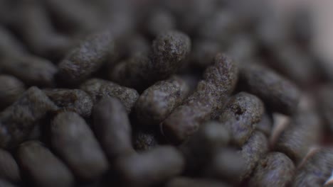 macro food pellets fish food light sweep short dramatic and cinematic