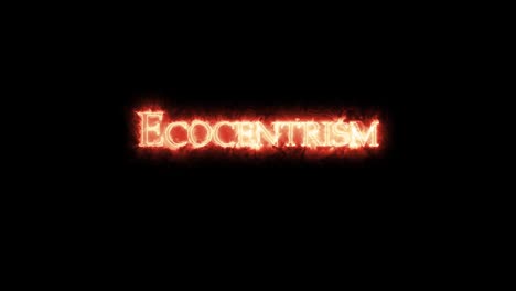ecocentrismo escrito con fuego. bucle