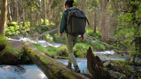 mujer caminando con una mochila de senderismo en el bosque verde de primavera