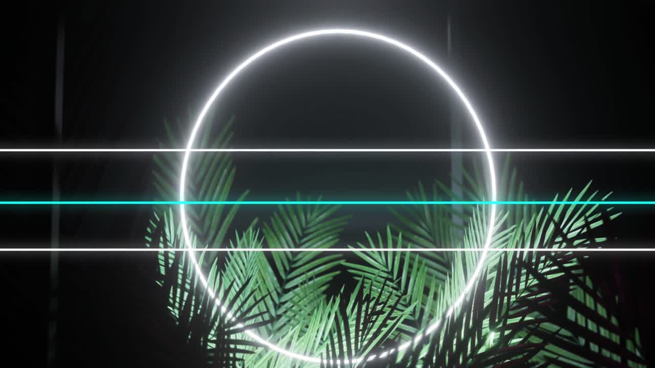 Animation of communication lines transferring data and white neon ring, with palm leaves on black