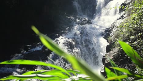 majestic waterfall cascading over rocks in forested area