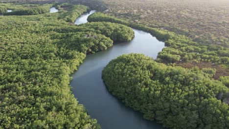 Aerial-panorama-shot-of-Masacre-River-and-Rio-Dajabon-surrounded-by-lush-jungle-during-sunny-day---Border-between-Dominican-Republic-and-Haiti