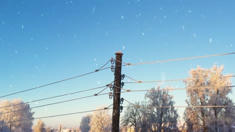 Poste-Eléctrico-Local-Cubierto-De-Hielo-Y-Nieve