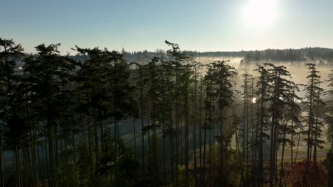 Antenne-Einer-Baumgrenze,-Die-Einen-Golfplatz-Umgibt,-Durch-Den-Die-Morgensonne-Emporragt