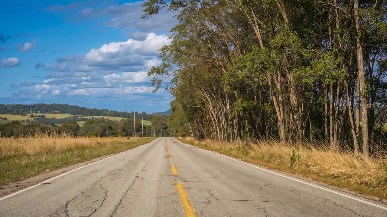 Recording dash camera triggered by vehicle moving forward, capturing rural road with utility poles