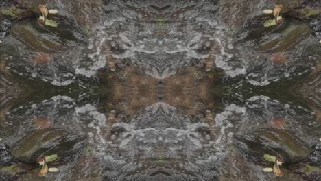 Kaleidoscope-from-Nature-Shots,-Wissahickon-Creek