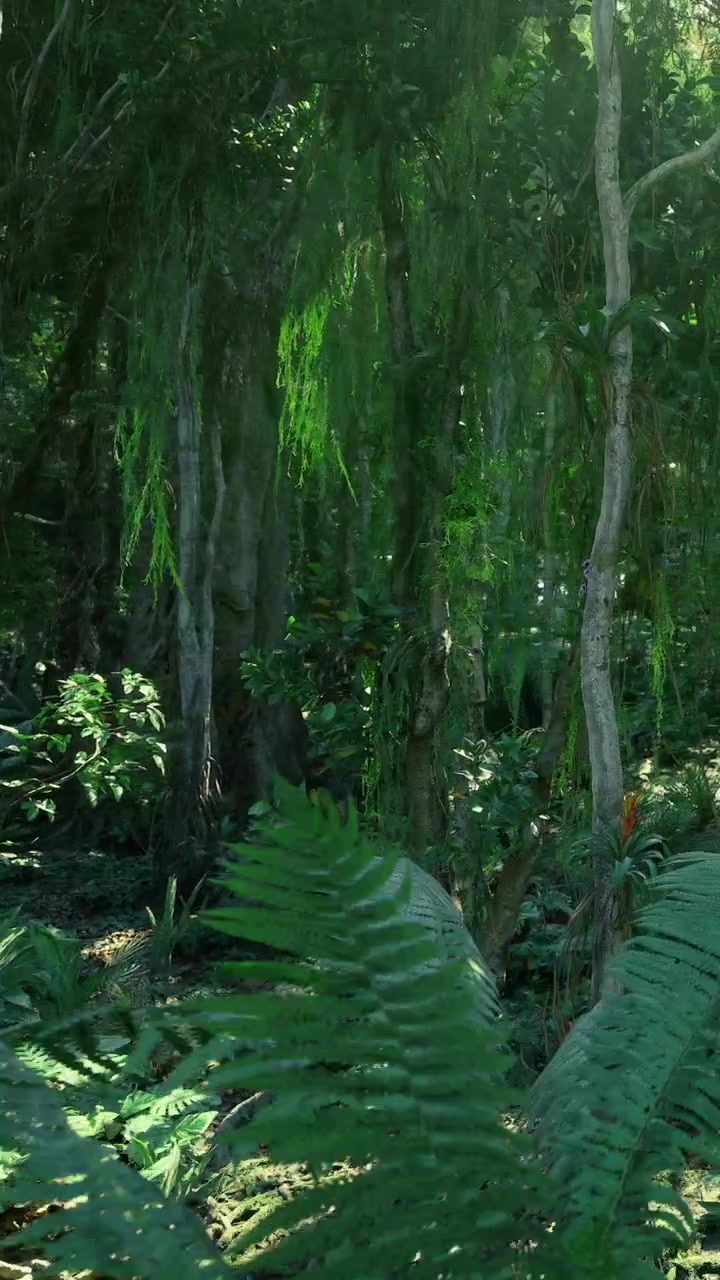 Esplorando una fitta area boschiva durante il giorno con varie piante e alberi.