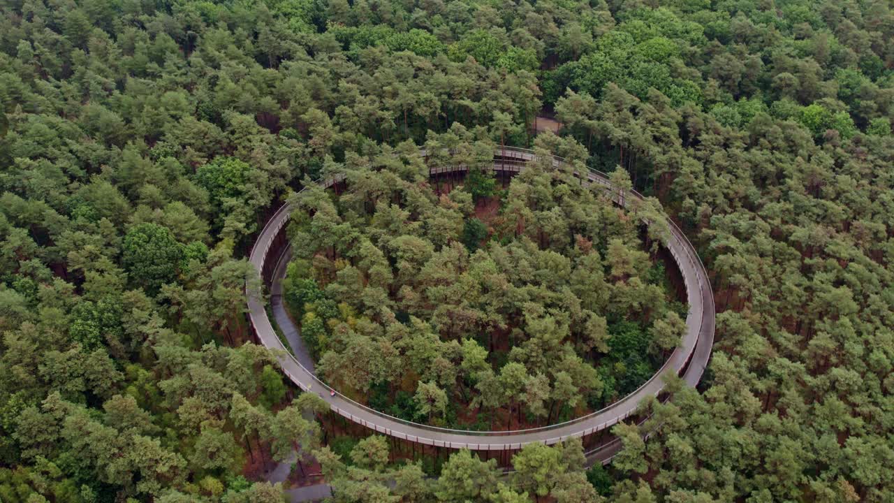 Woman biking on Hechtel-Eksel’s forest trail